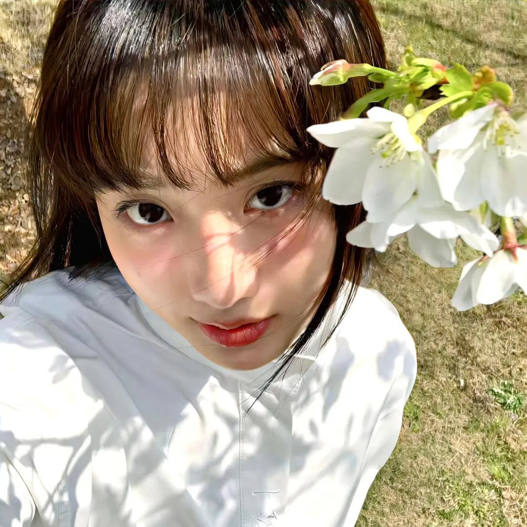 中华小当家 动画版